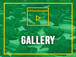 Master of Science in Food Security and Climate Change (MSFSCC) Gallery Menu Graphics.